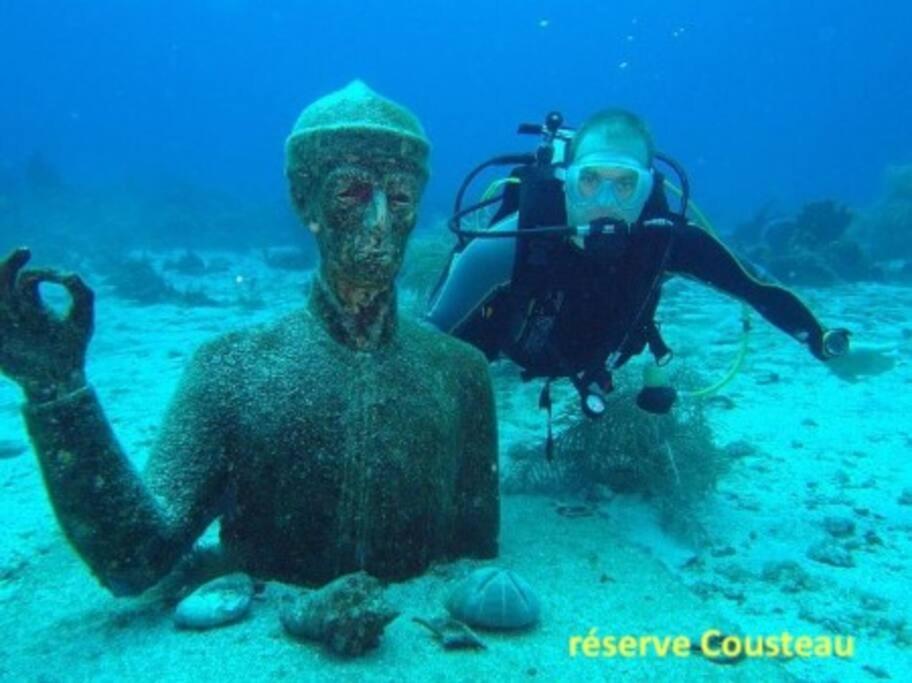 Hébergement de vacances Au Domaine Du Commandant